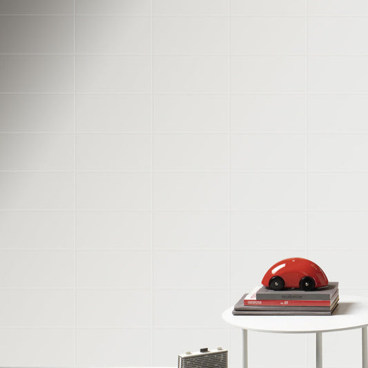 Matt White 100x200mm