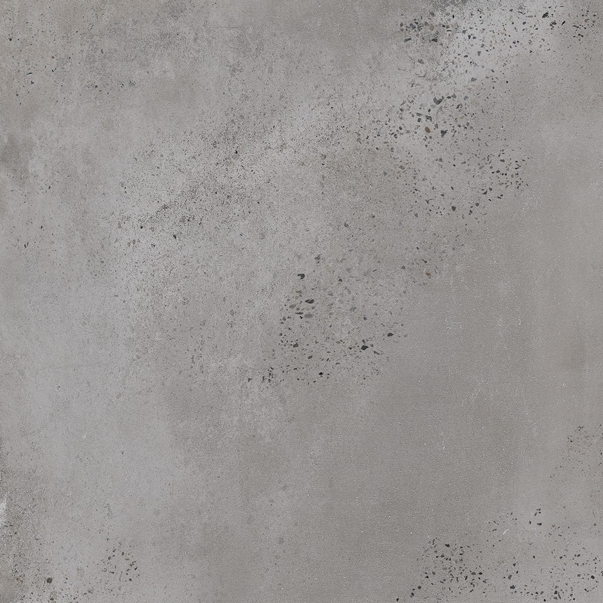 Kiewarra Ash 450x450mm